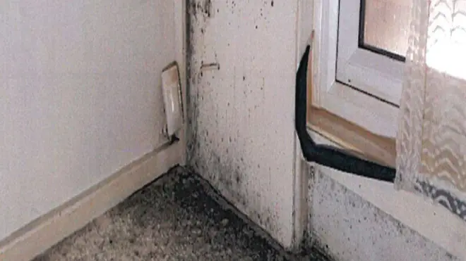 Mould in the family flat