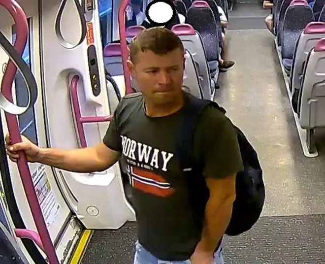 CCTV images of a man who exposed himself to victim on a London train.