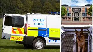 Helen Kane was found behind the wheel of the marked police vehicle, which also contained 3 dogs and was discovered by a member of the public in the middle of the day
