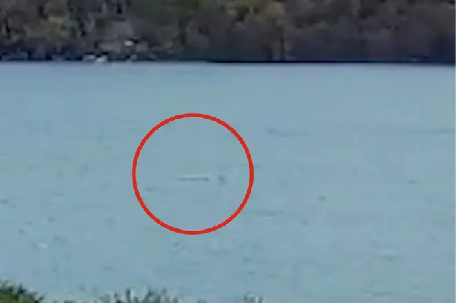 Is this proof that the Loch Ness monster exists?