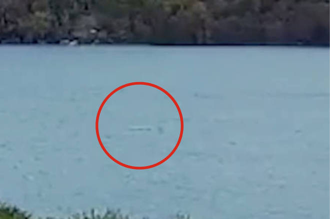 Is this proof Loch Ness Monster exists? Nessie hunter claims new vid shows  mythical... - LBC