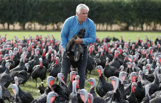 Paul Kelly inspecting turkeys on his farm
