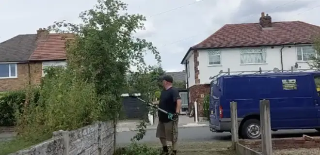 The man trimming the tree