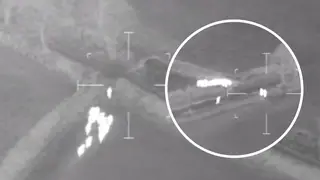 National Police Air Service footage shows the man being followed by the cows