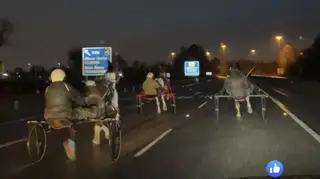 The horse racers on the motorway