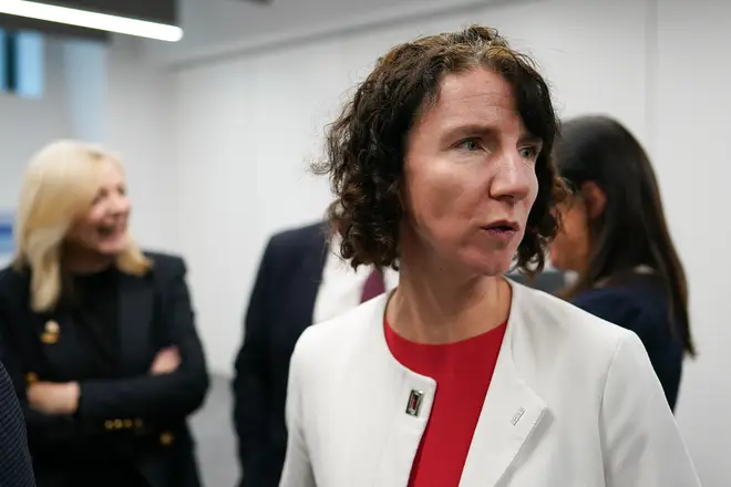 Anneliese Dodds is calling for an investigation into former PM Boris Johnson