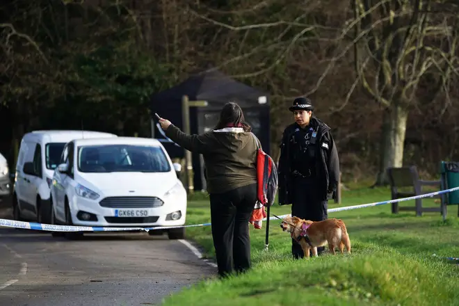 The fatal attack took place on Gravelly Hill in Caterham, Surrey, while Ms Johnston was walking eight dogs.