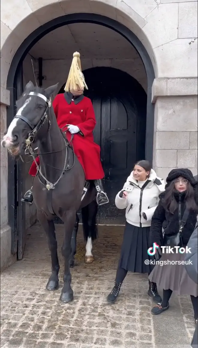 Tourist grabs horse's reins while posing for a picture with a member of the King's Guard