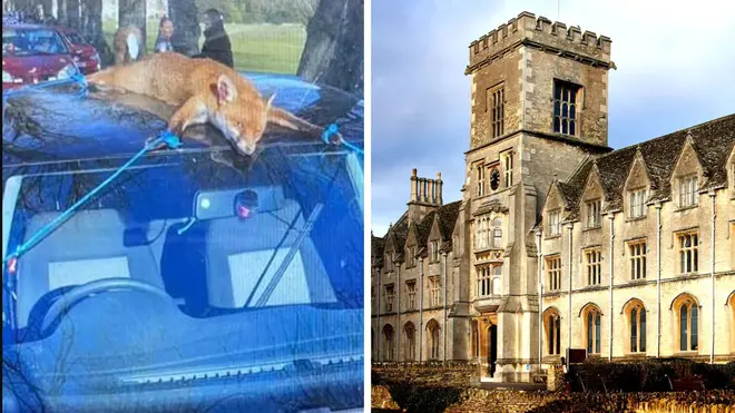 The caption that accompanied the social media photo of the dead fox read: 'does it get anymore Ciren'.