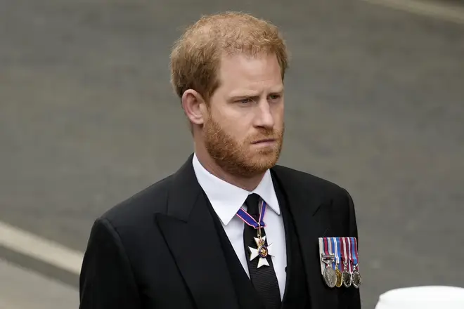 Prince Harry launched a judicial review into the matter 18 months ago