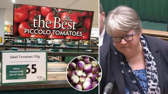 Therese Coffey said that vegetable shortages will possibly last up to a month for Brits