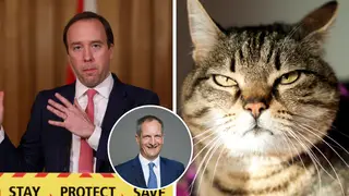 Ministers briefly considered ordering all domestic cats in Britain to be killed