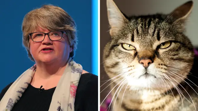 Therese Coffey (left) and a cat (right)