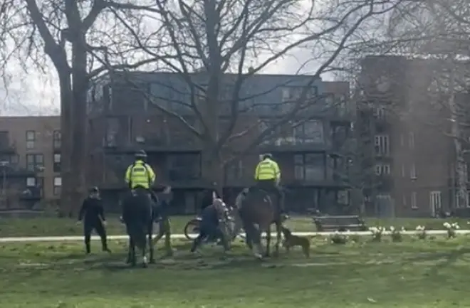 The dog attacked the horse in Victoria Park