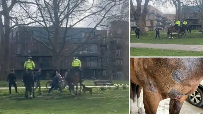 A police horse was attacked by a dog in Victoria Park