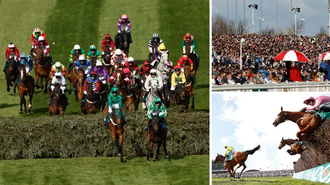 Animal rights activists have plotted to disrupt the Grand National