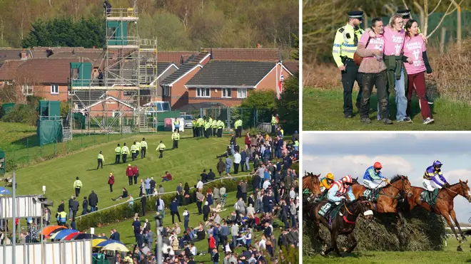The British Horseracing Authority (BHA) has said it will investigate the deaths of three horses at the Grand National meeting "in painstaking detail", as it condemned protesters who disrupted the event.