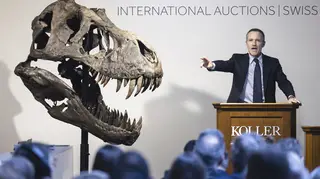 Switzerland Dinosaur Auction