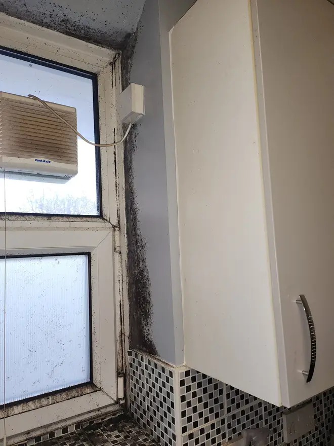 Anne has told Lambeth Council about the growth of mould in her flat on a number of occassions