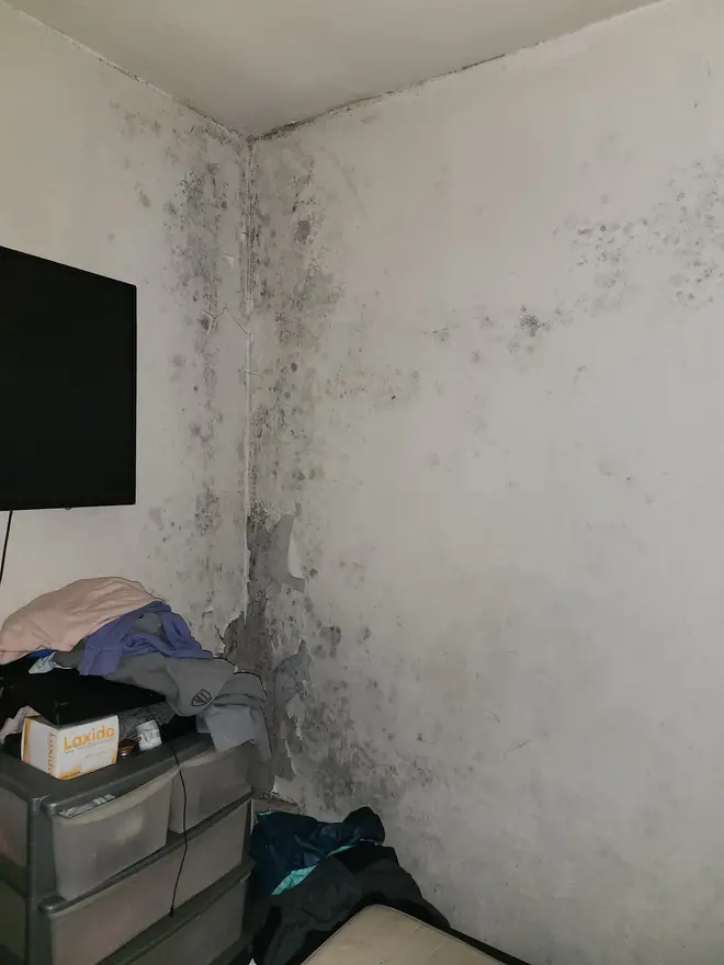 Mould has been growing in 'every room' of anne's flat