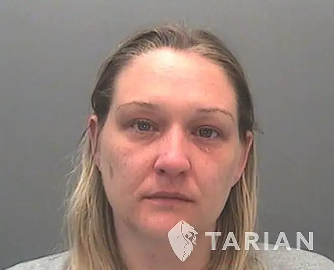 Prosecutor Mr Temkin said: "The defendant abused her position to research and obtain sensitive information about prominent criminals and organised crime investigations in South Wales.