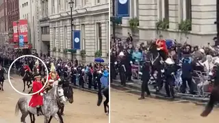 Shocking footage shows the moment an out-of-control horse careered backwards into barriers before startled crowds during the Coronation procession.