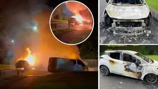 Dorset Police have launched an investigation after a dozen vehicles were set ablaze.