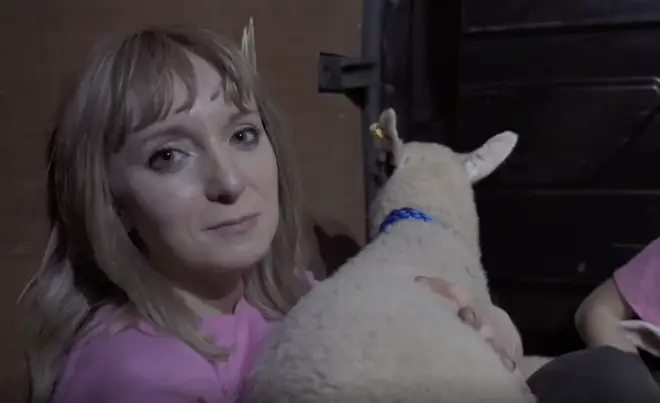 The group took the lambs to animal experts, Animal Rising said