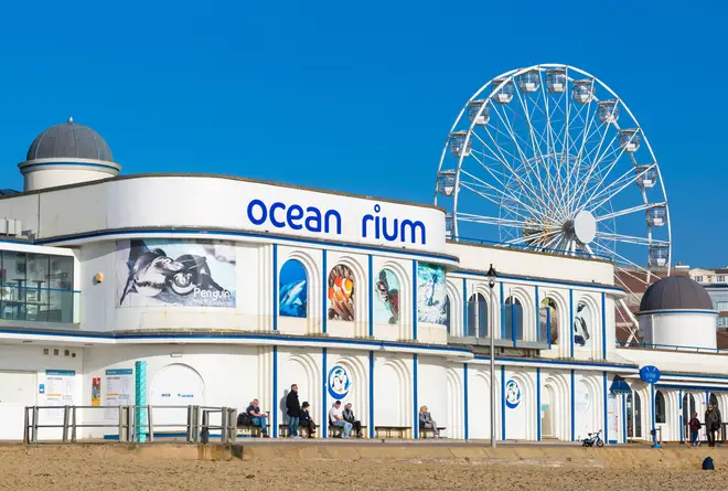 The alleged rape is claimed to have happened near the Oceanarium in Bournemouth