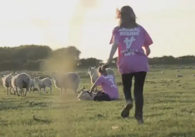 The group were seen running into the field in pink t-shirts.