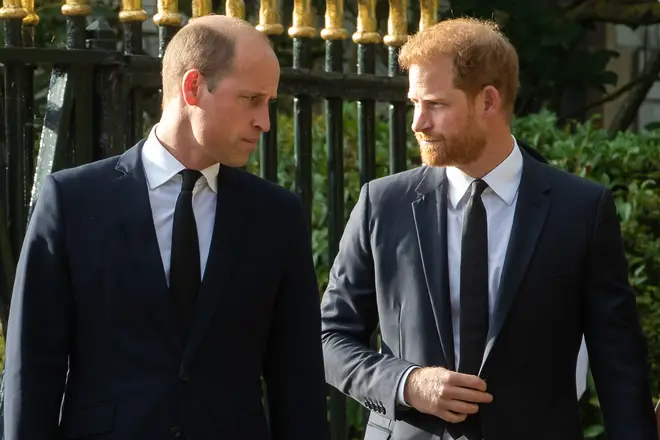 Harry and William wanted to clarify details about their mother's life with Burrell