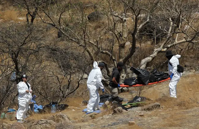 Dozens of bags containing human body parts hauled from ravine in search for Mexico's missing persons