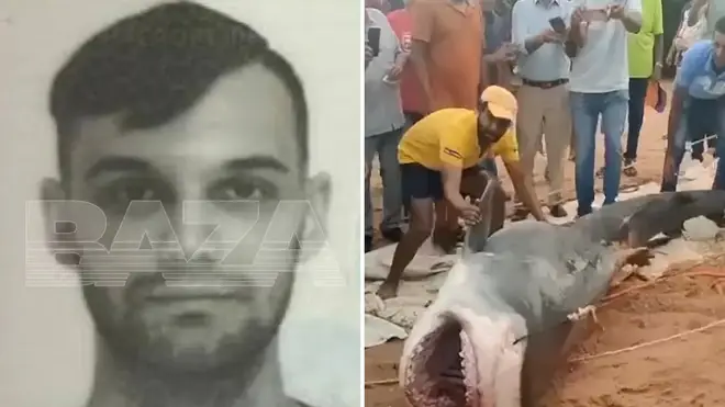 Vladimir Popov was killed in the shark attack around 30 metres from the shore in Egypt