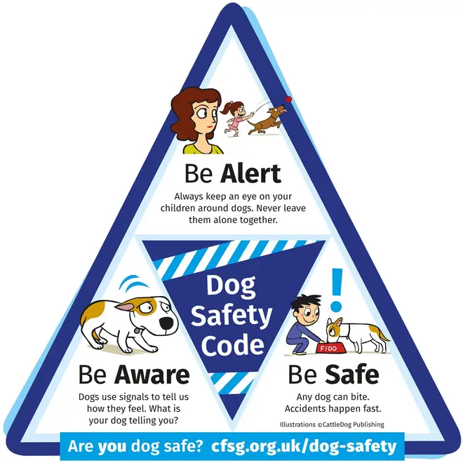 The Dog Safety Code for children