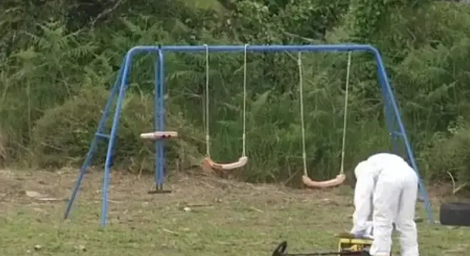The girls were playing on the swings when the attack happened