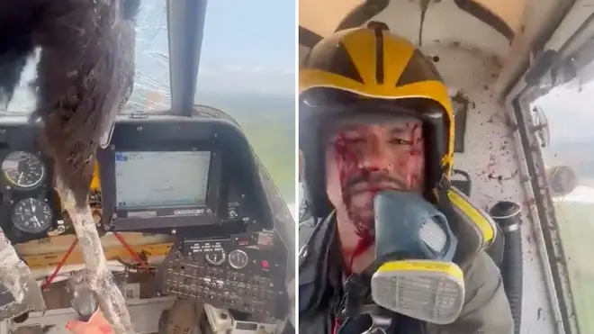 The pilot managed to keep control of the plane despite a bird strike. He also managed to film the drama
