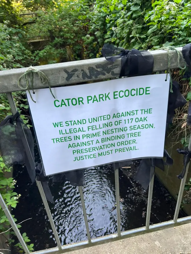 The act has been described as a 'Cator Park Ecocide'