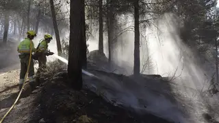Firefighters tackle wildfire