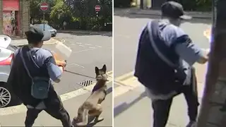 The man launched a brutal attack on his dog