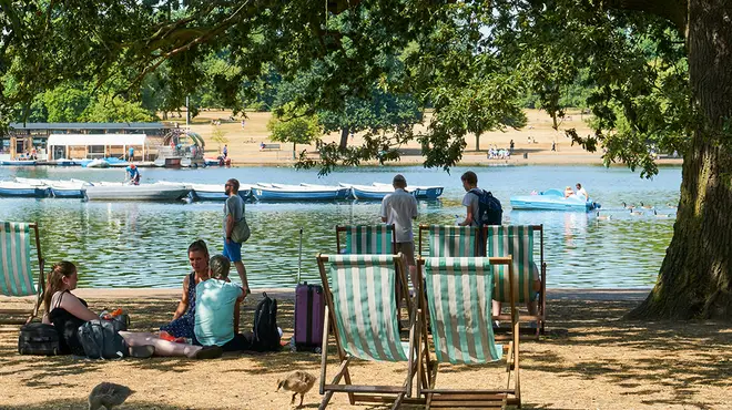 London's Hyde Park with people sunbathing in deck chairs by the water and sitting in the shade under trees
