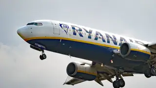 A Ryanair flight