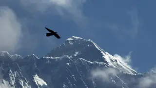 Nepal Helicopter