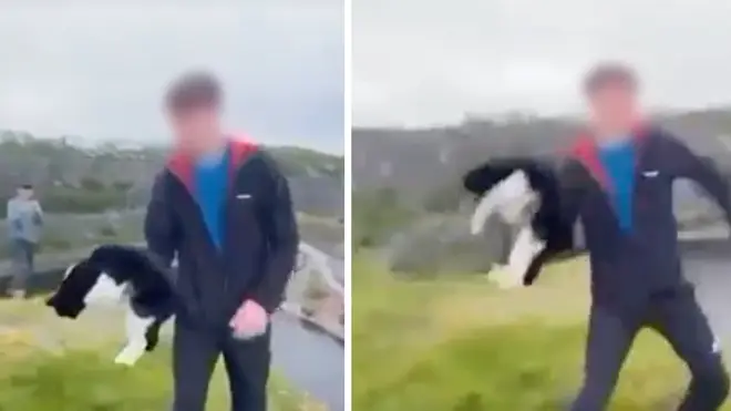A young man was seen hurling a cat off a quarry in shocking video footage posted online