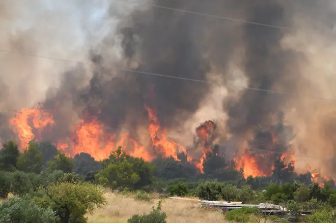 Forest fires in Croatia amid Cerberus heatwave