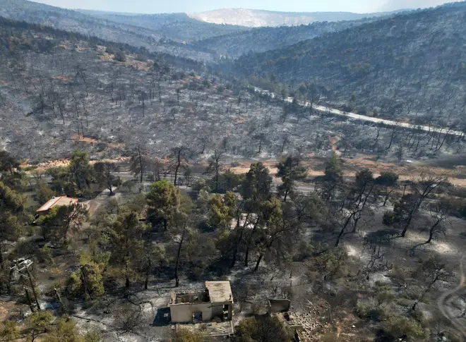 Areas like Mandra have been devastated by fires