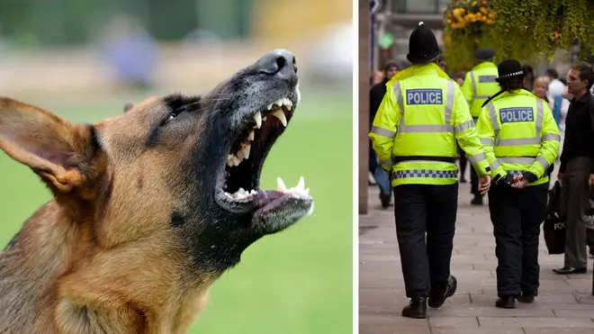 Police in England and Wales are being forced to destroy at least two dogs a day after savage attacks.