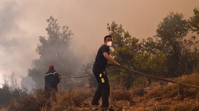 Fire fighters carrying a hose into the forest to tackle a wildfire