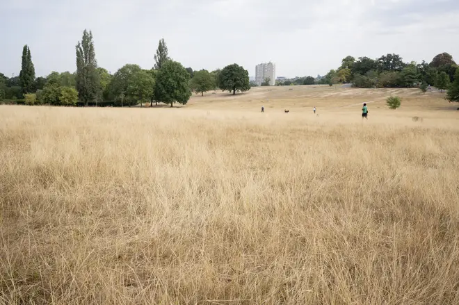 A landscape of dry, brown and parched grass in Brockwell Park during the UK drought in 2022