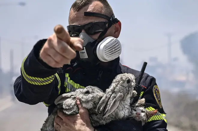 A firefighter after rescuing a cat and two rabbits in Rhodes