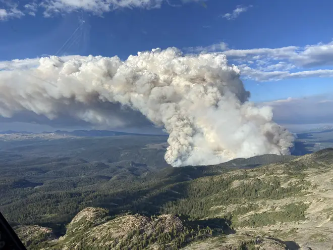 Wildfires have destroyed Canadian lands equivalent to the entire landmass of South Korea